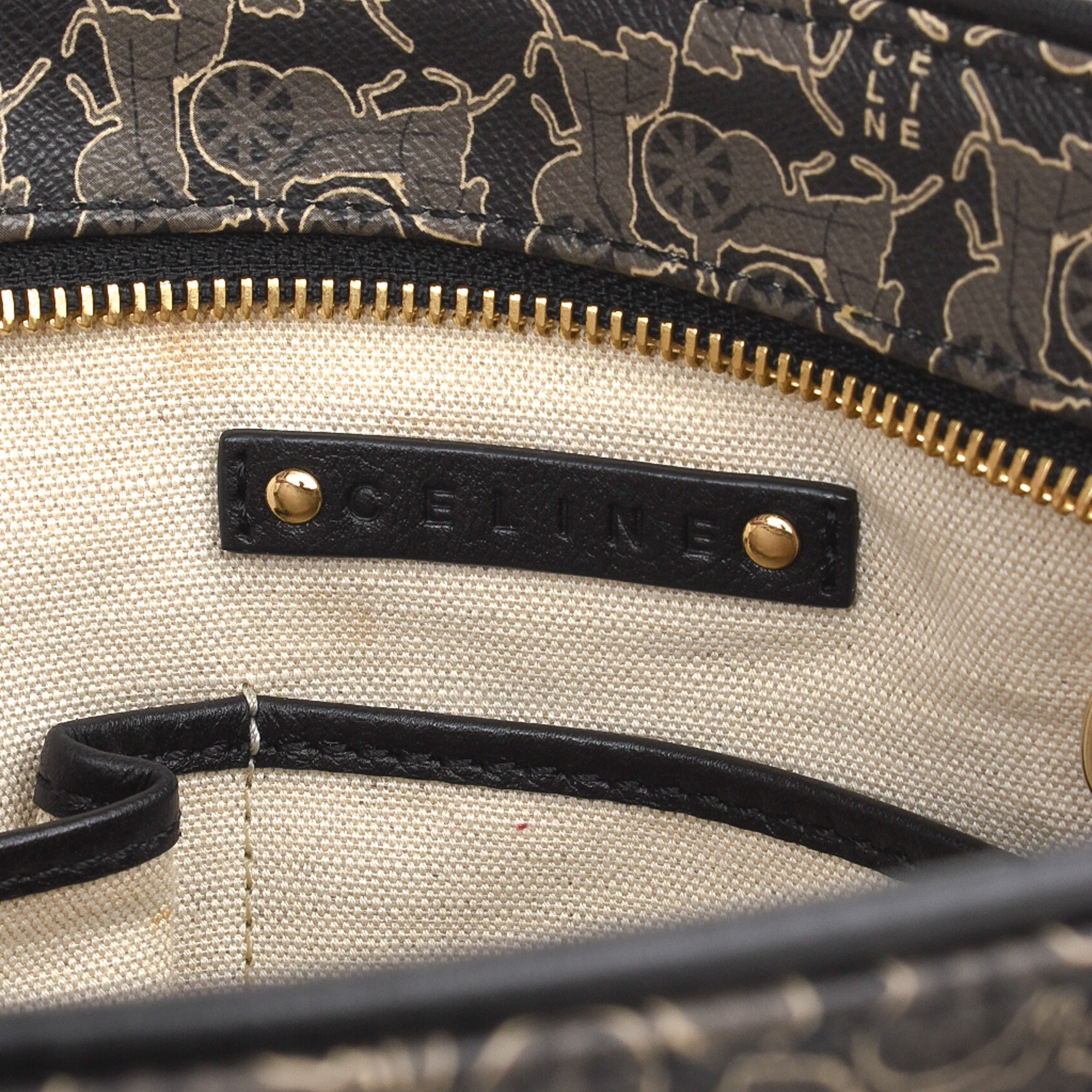 Multi Coated Canvas Handbag