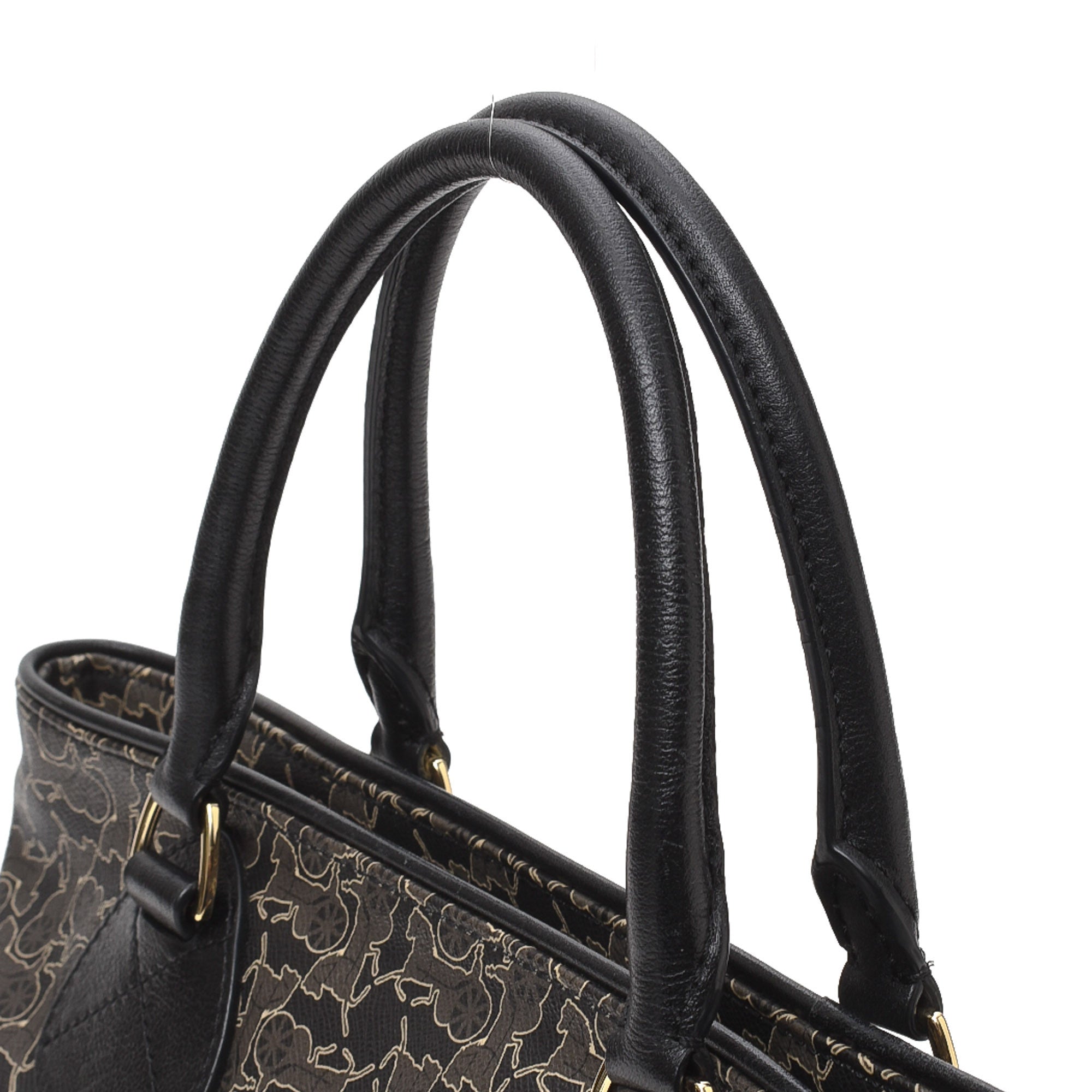 Multi Coated Canvas Handbag