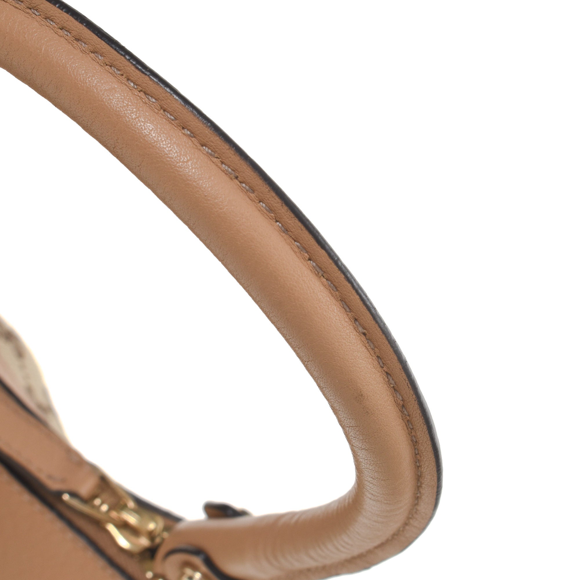 GG Canvas D-Gold Hobo Bag