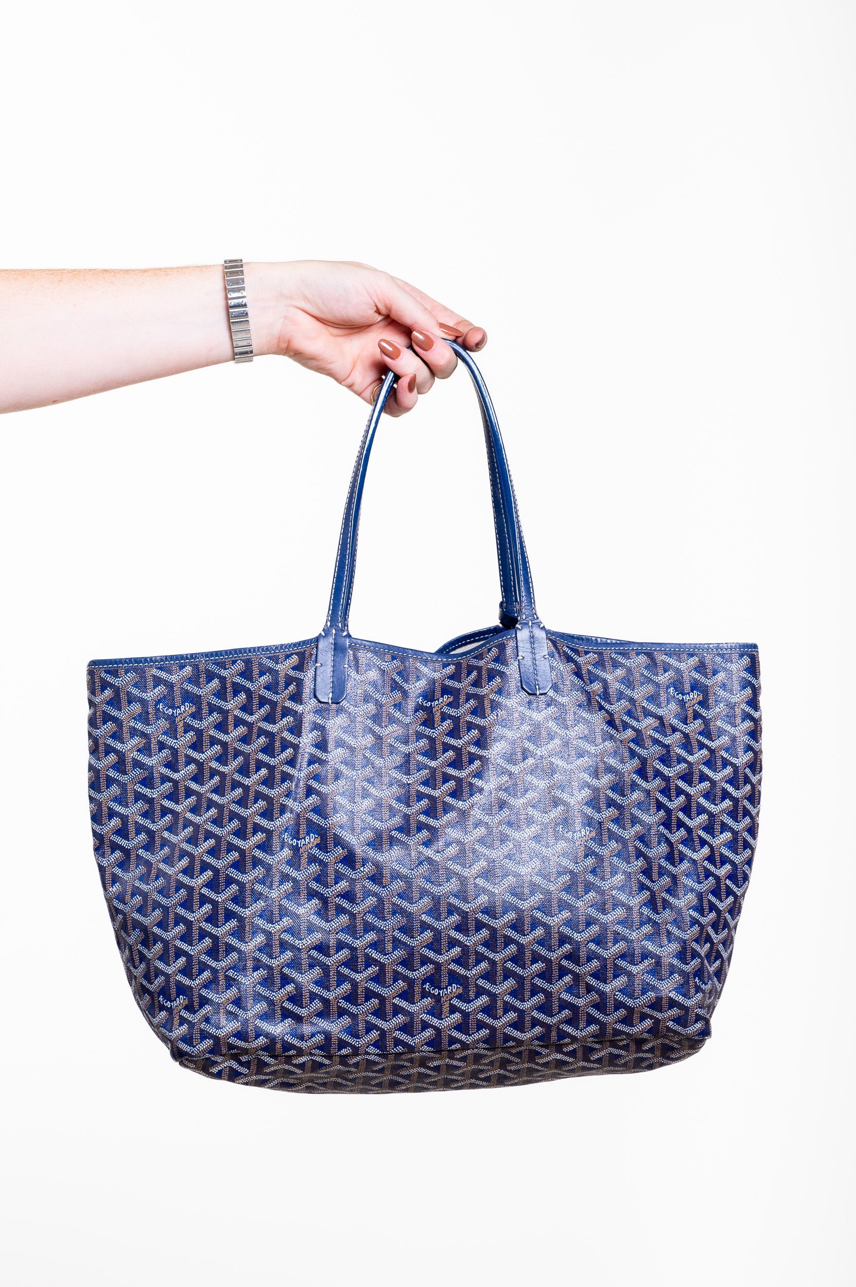 Saint Louis PM Tote Bag with Pouch