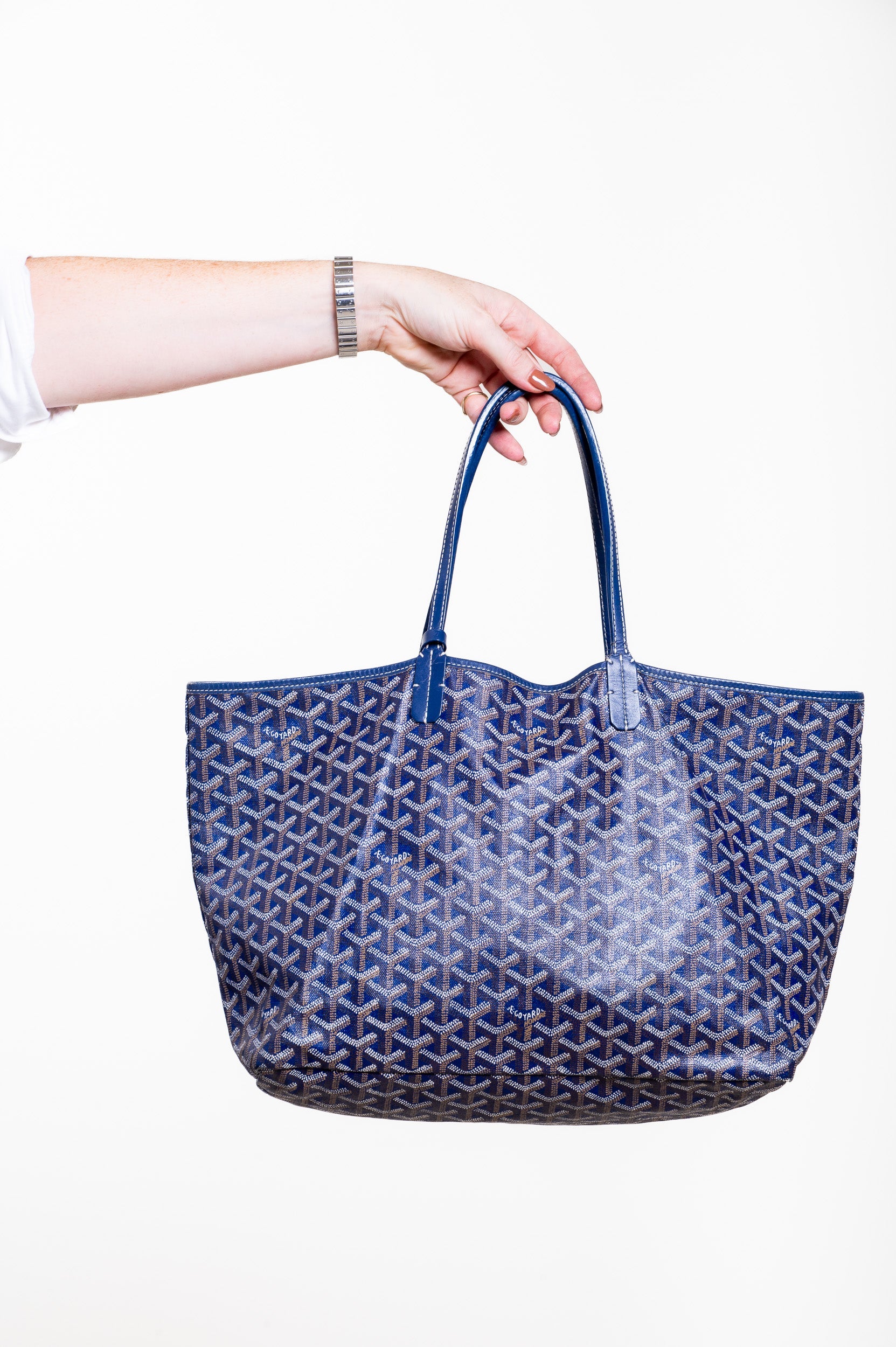 Saint Louis PM Tote Bag with Pouch