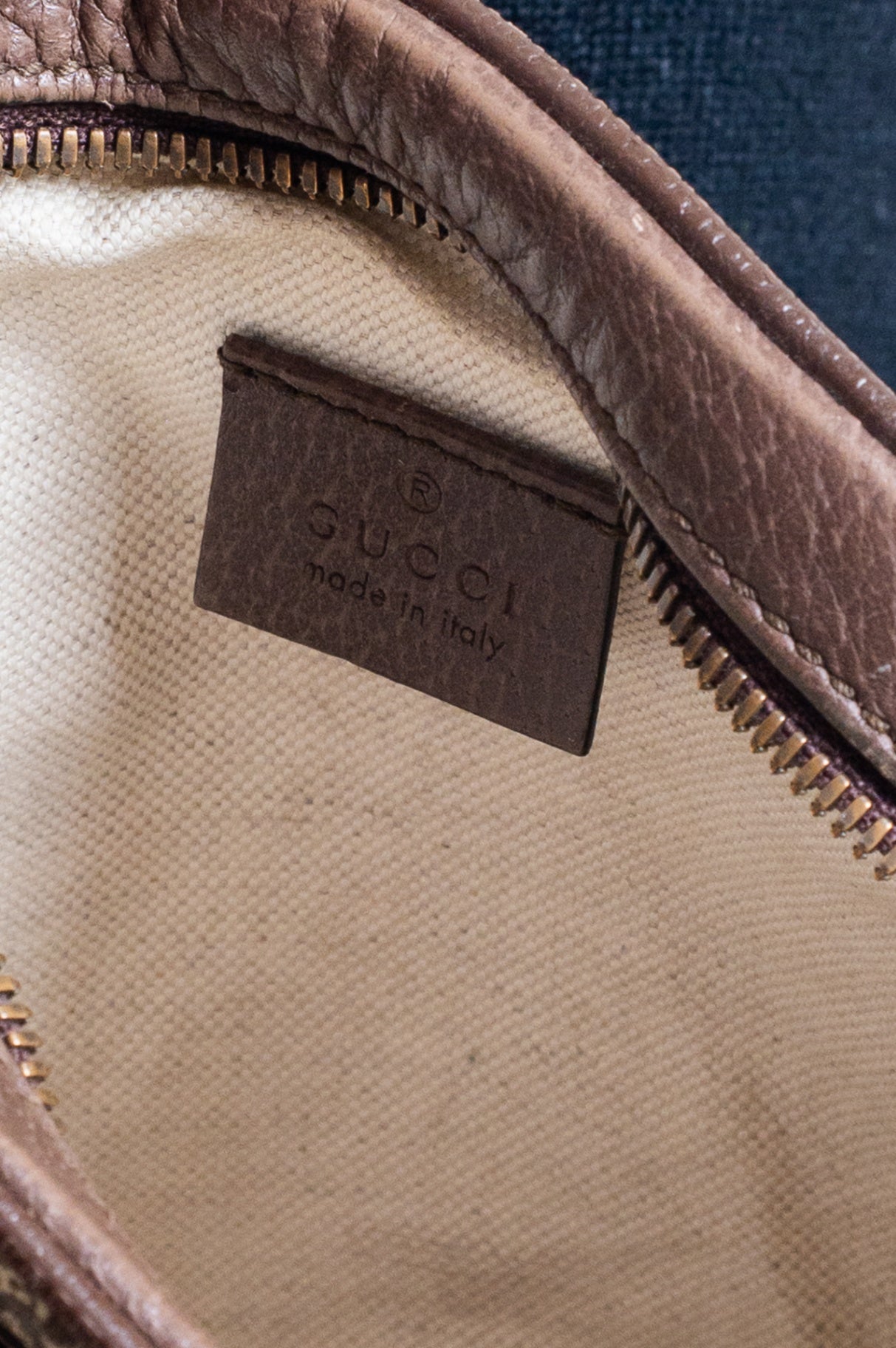 GG Canvas Ophidia Messenger Bag