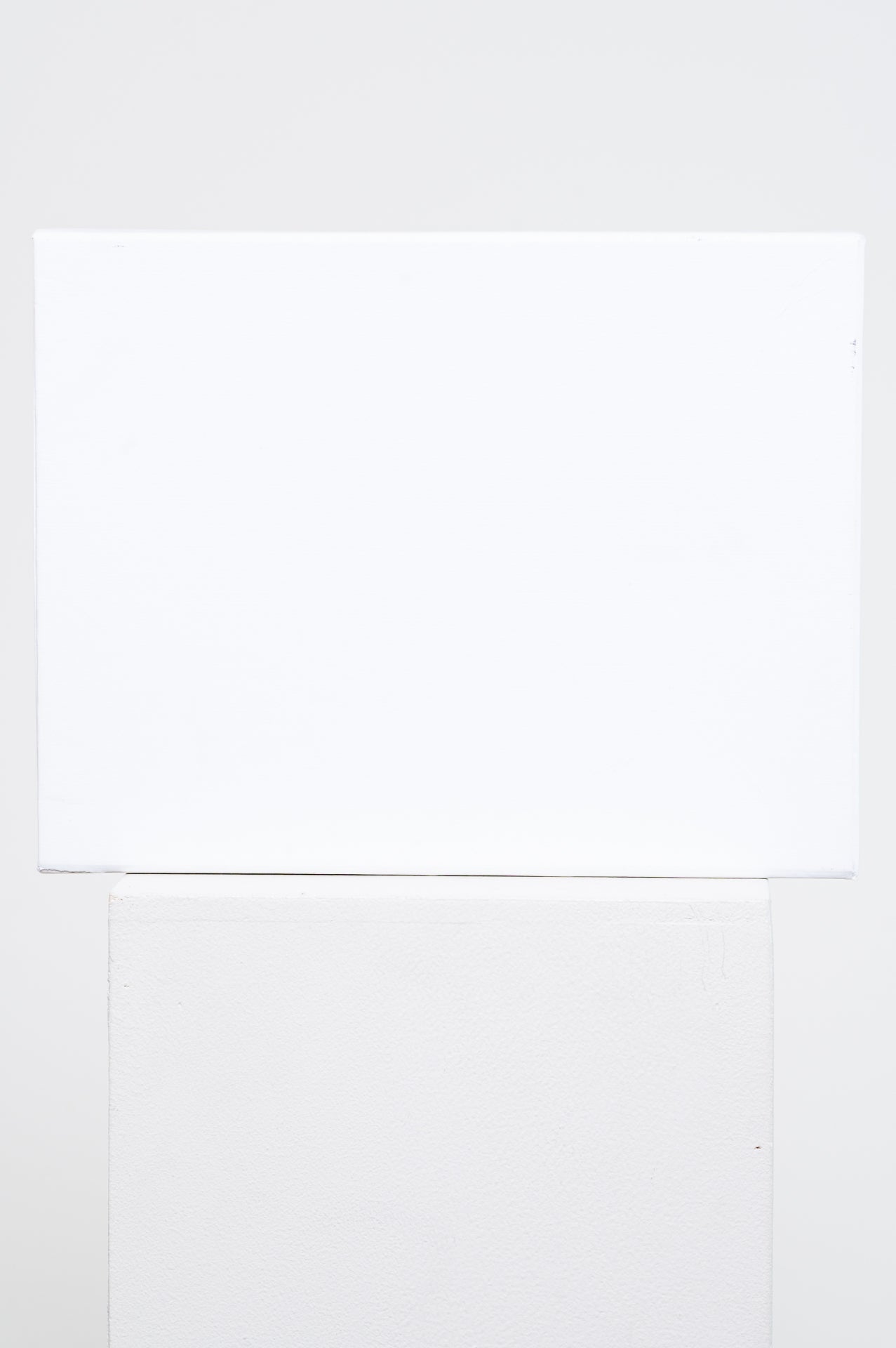 Black Suede and Leather Low Top Sneaker