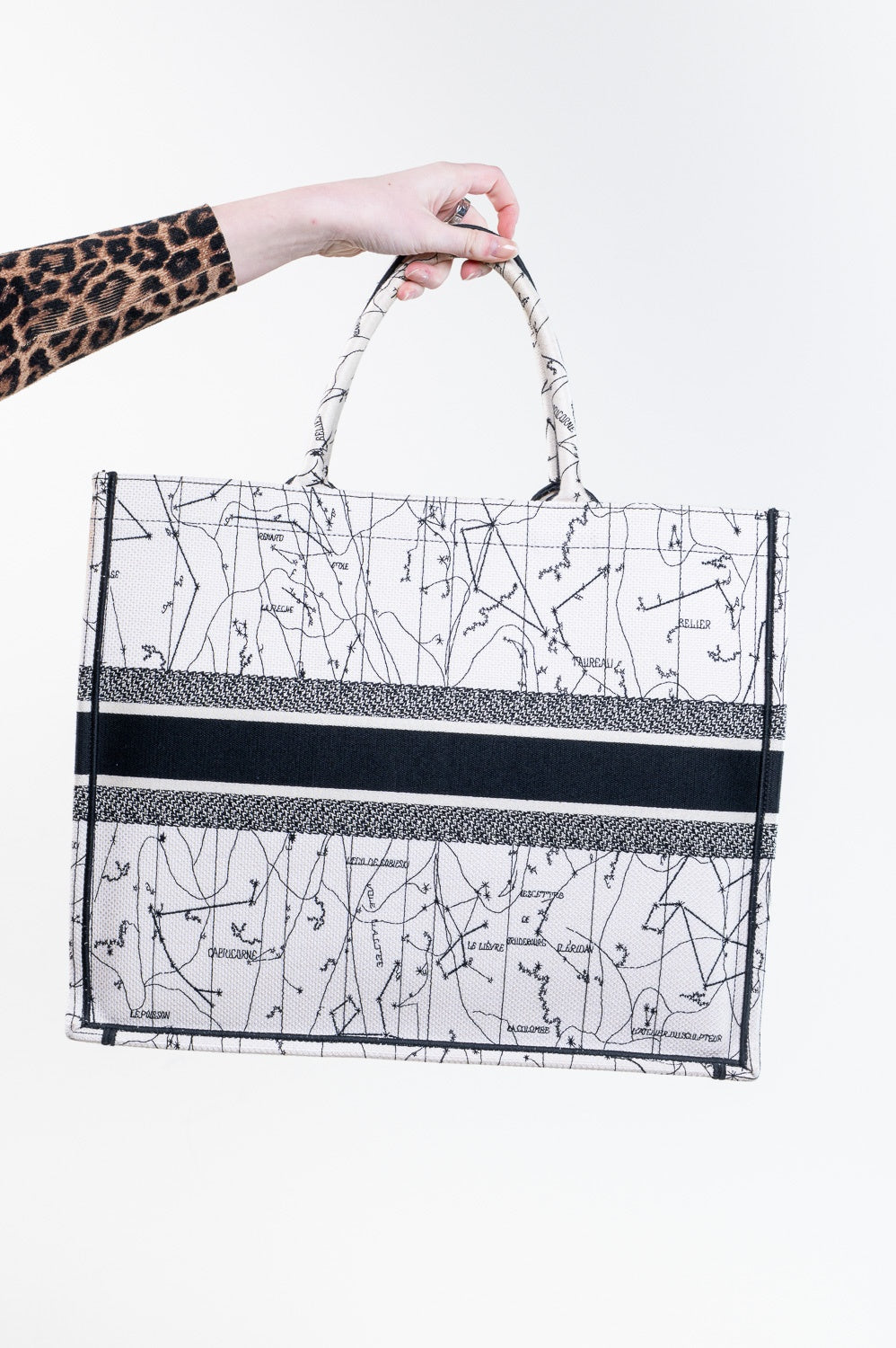 Canvas Large Book Tote