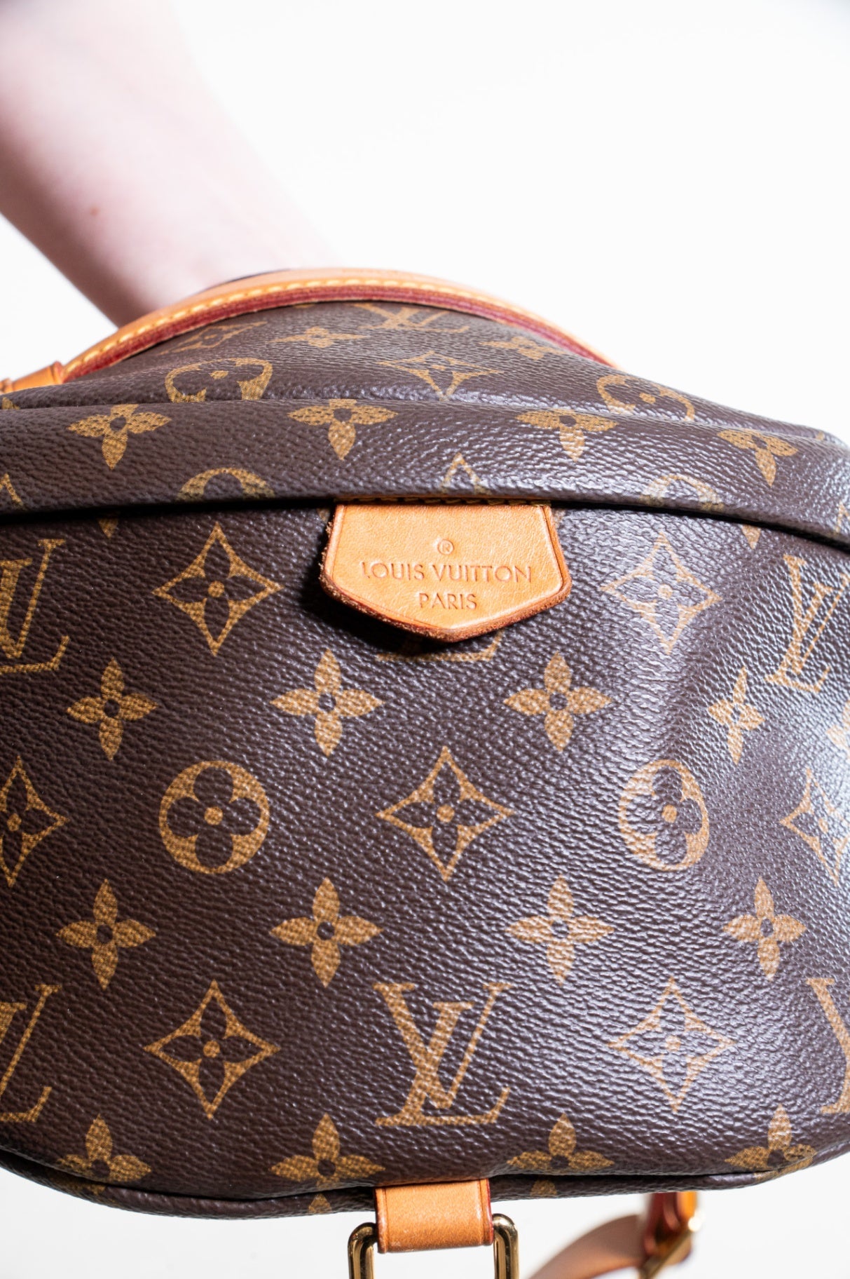 Monogram Bum Bag