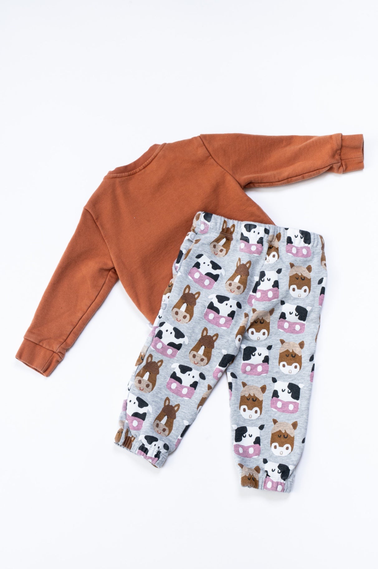Animal Sweat Shirt & Pant Set