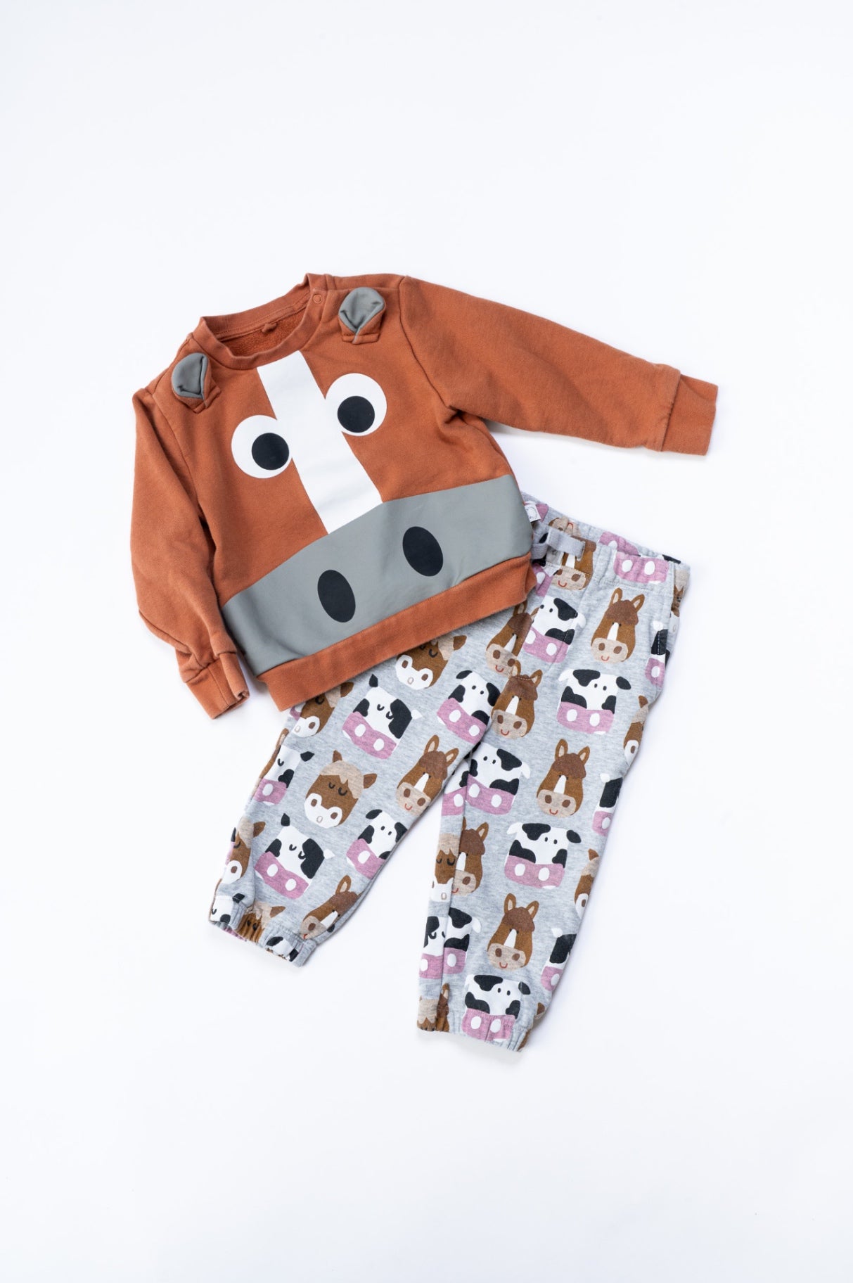 Animal Sweat Shirt & Pant Set
