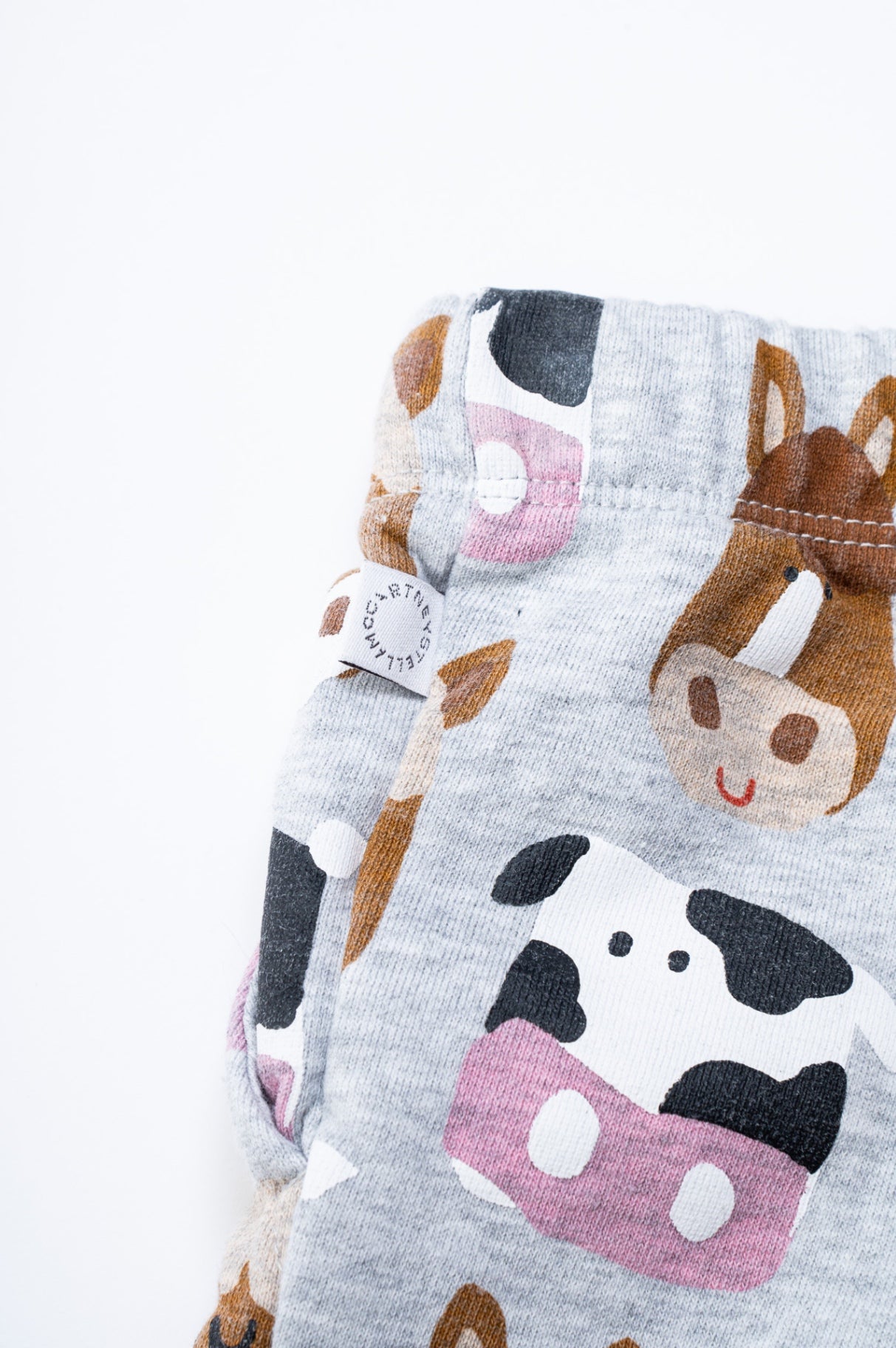 Animal Sweat Shirt & Pant Set