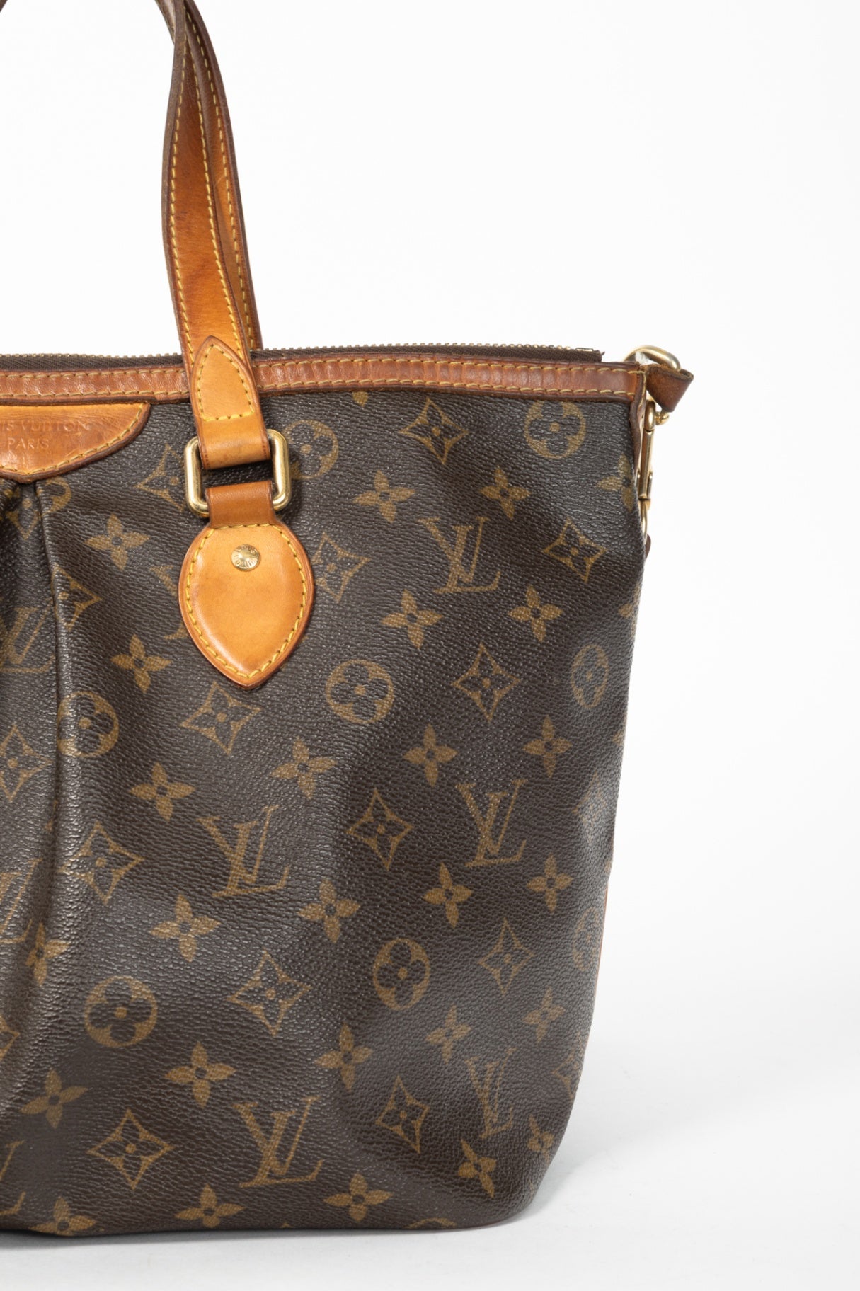 Palermo PM Monogram Canvas Tote