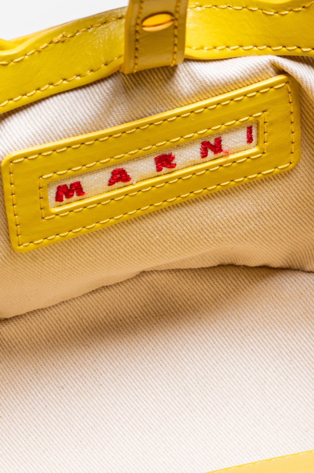 Yellow Micro Tropicalia Raffia And Leather Tote Bag