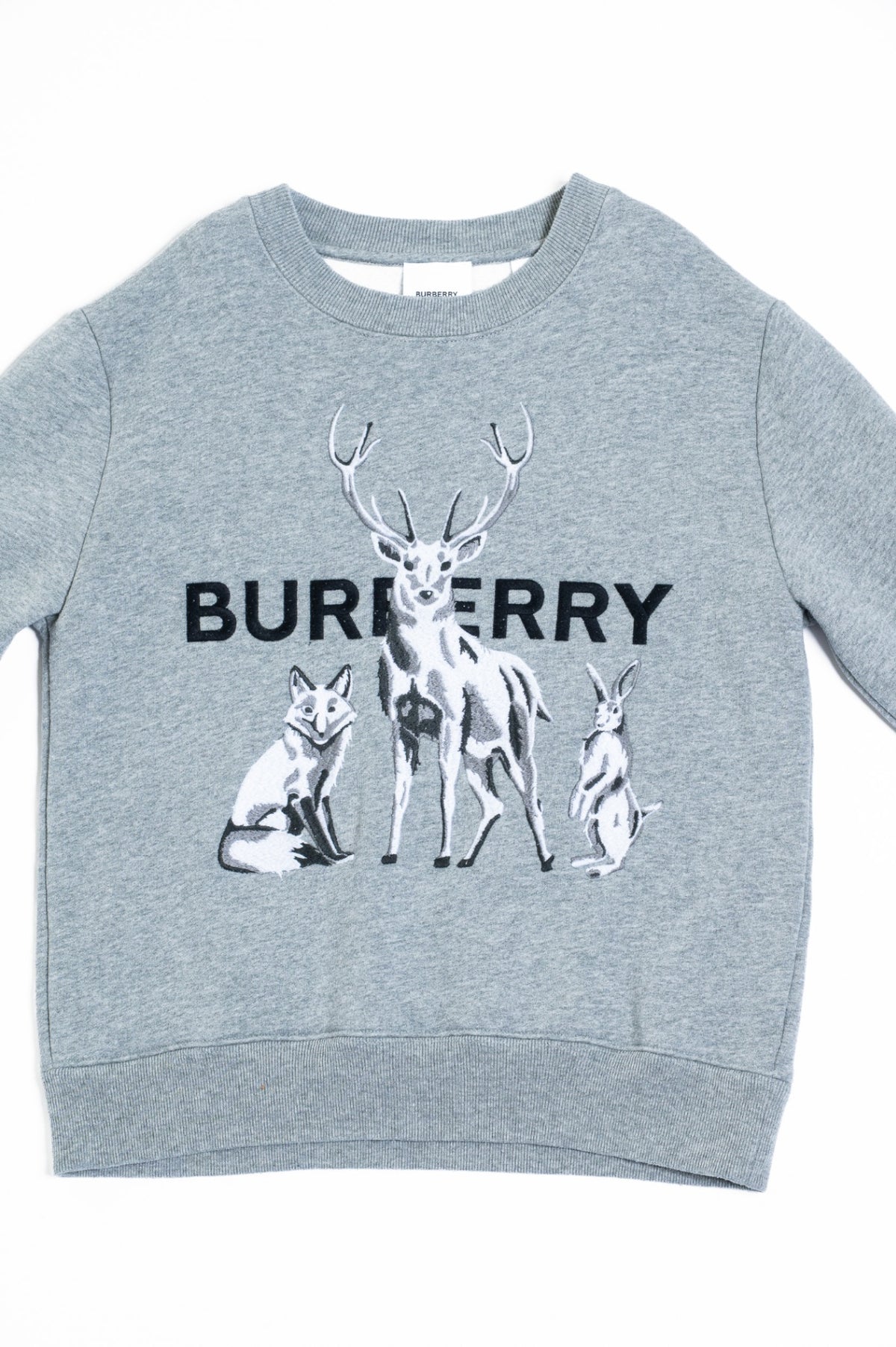Gray Kid's Embroidered Animals Sweatshirt