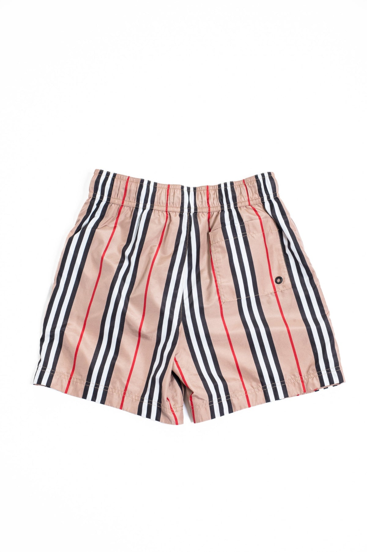 Beige with Classic Check Boy's Swim Shorts