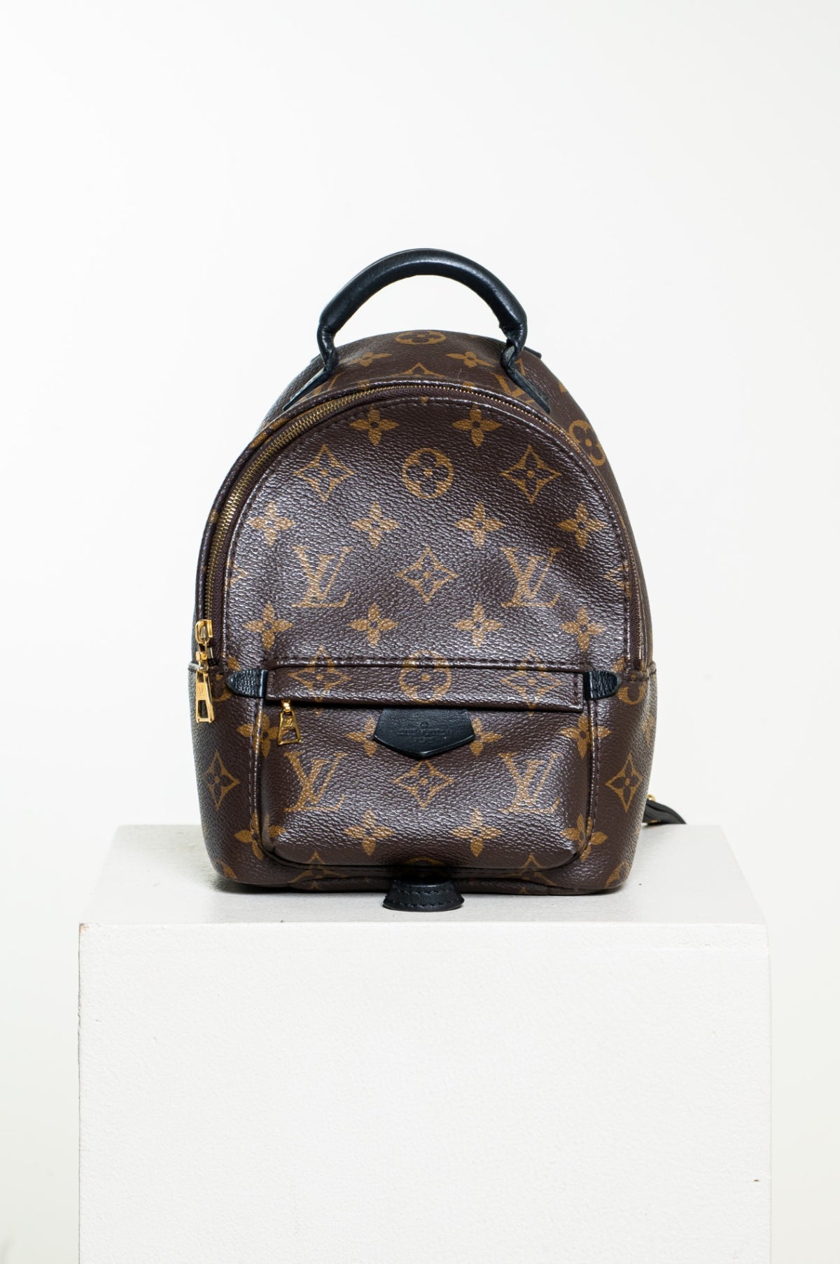 Monogram Palm Springs Mini Backpack