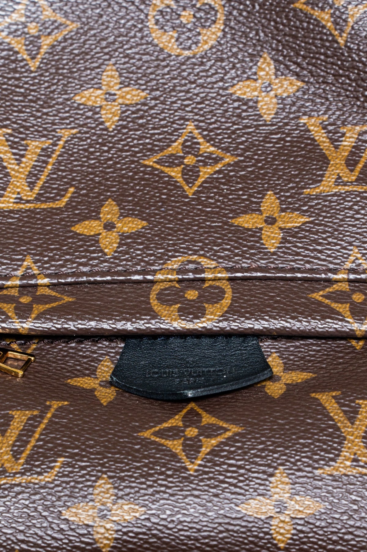 Monogram Palm Springs Mini Backpack