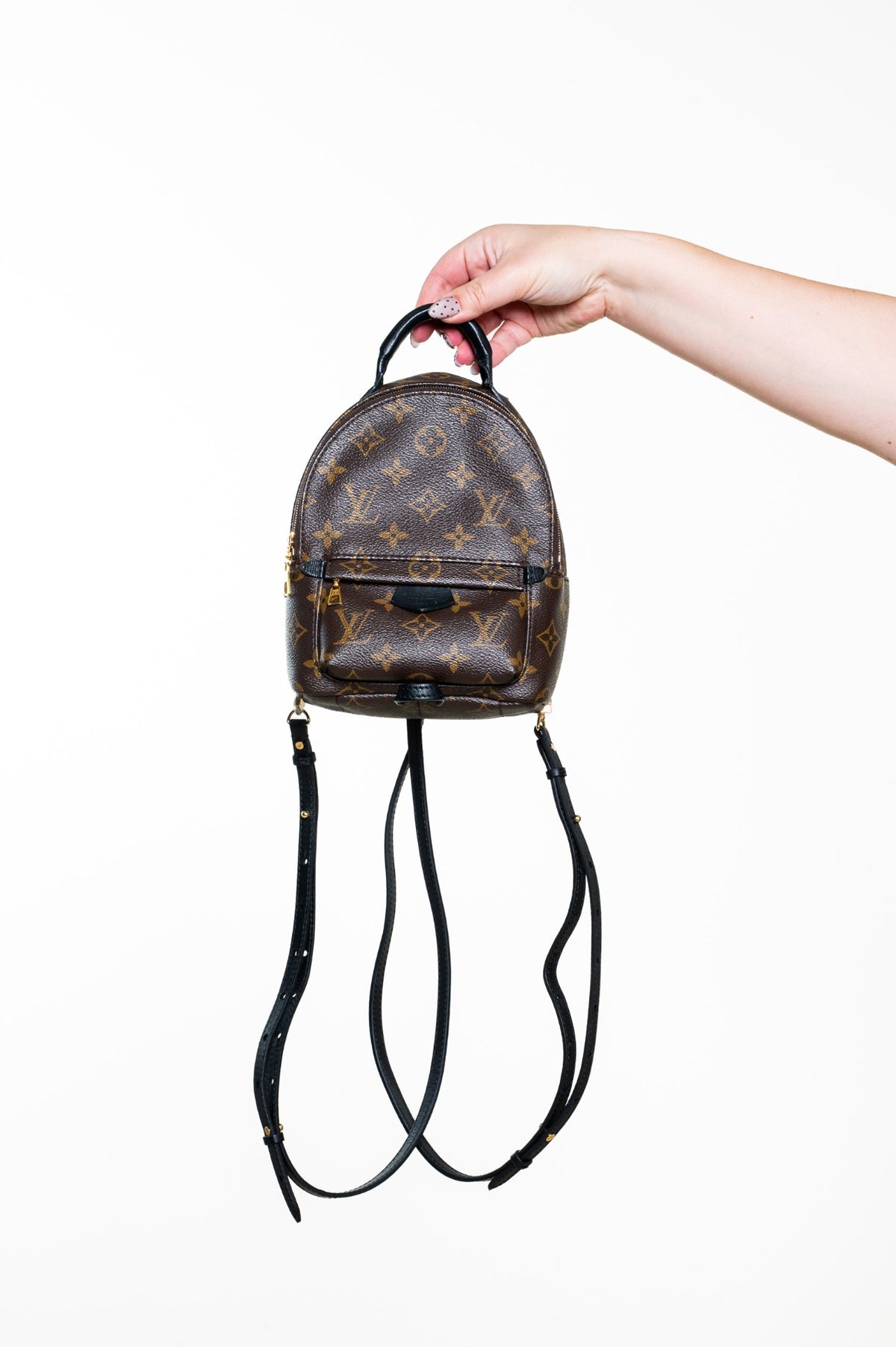 Monogram Palm Springs Mini Backpack