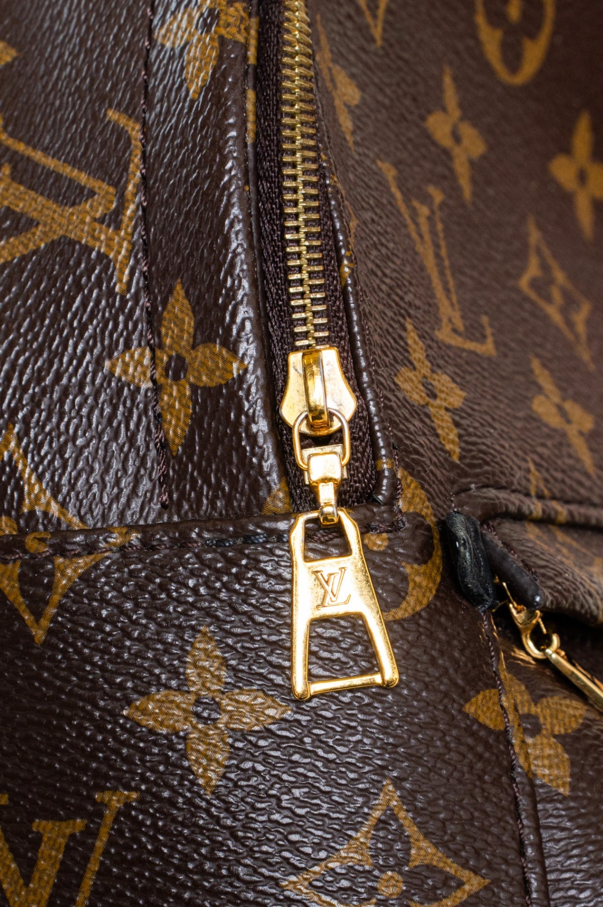 Monogram Palm Springs Mini Backpack