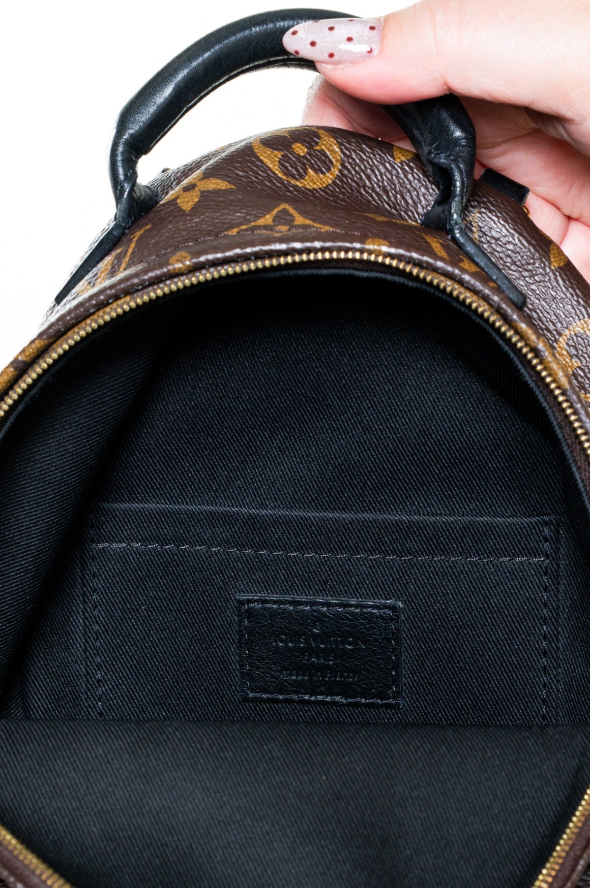 Monogram Palm Springs Mini Backpack