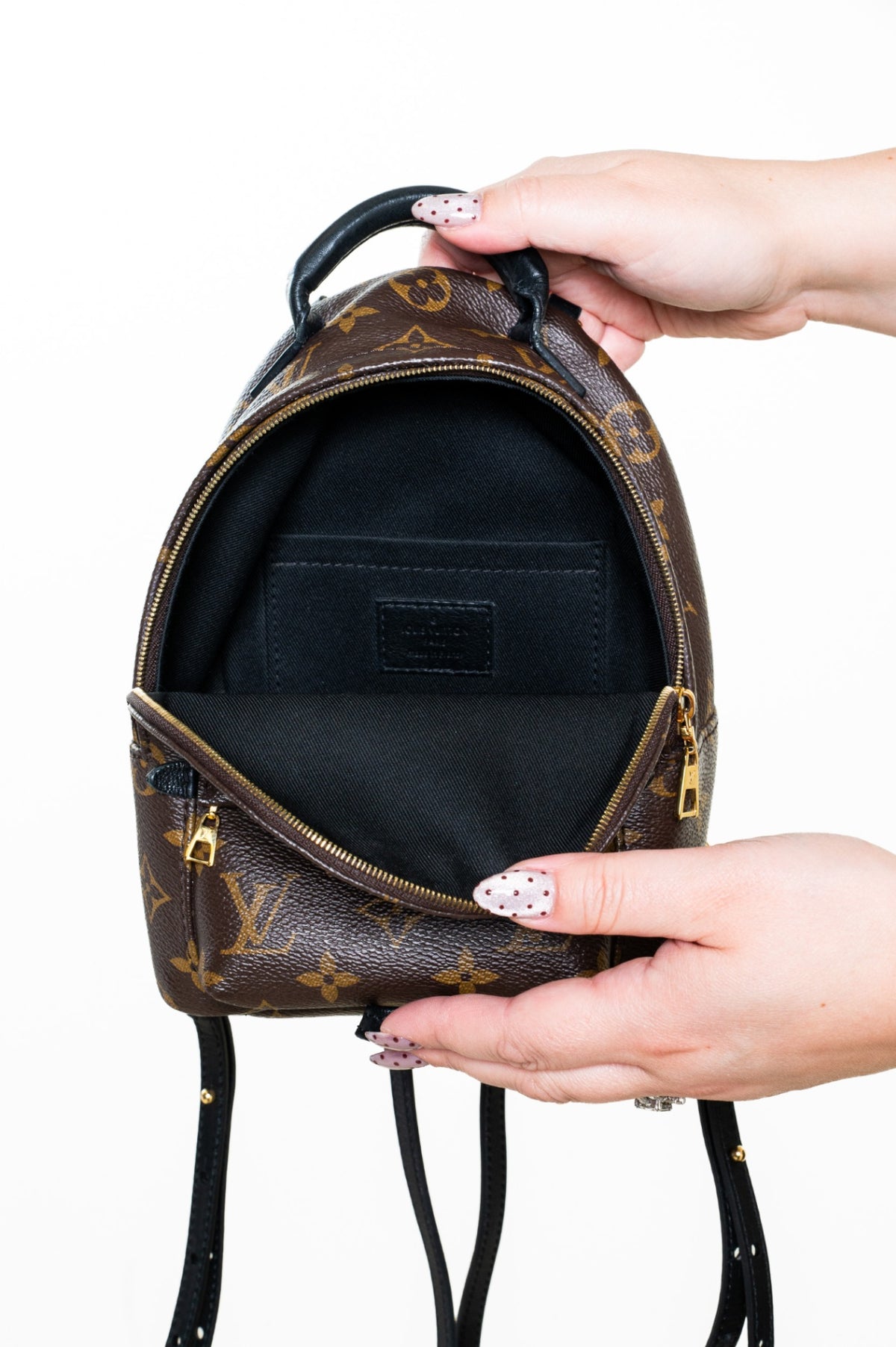 Monogram Palm Springs Mini Backpack