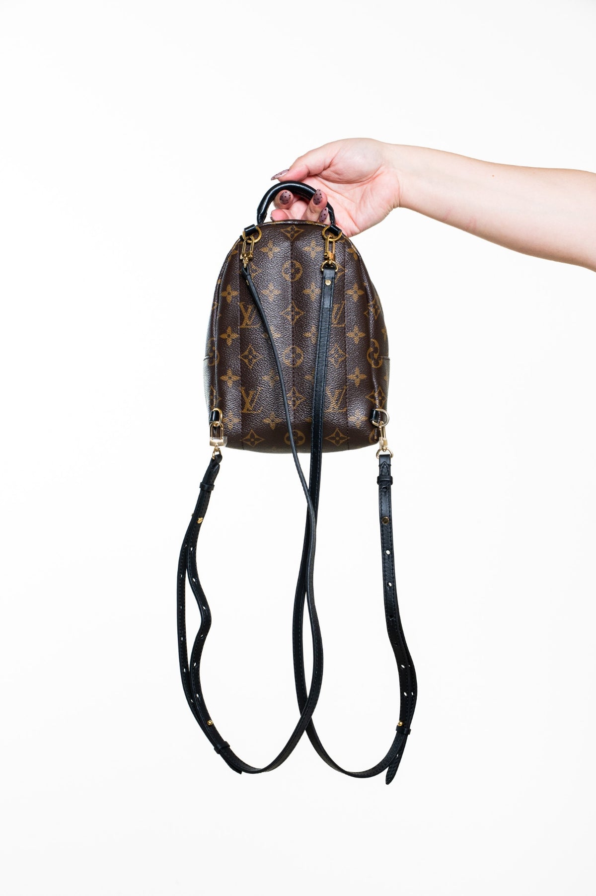 Monogram Palm Springs Mini Backpack