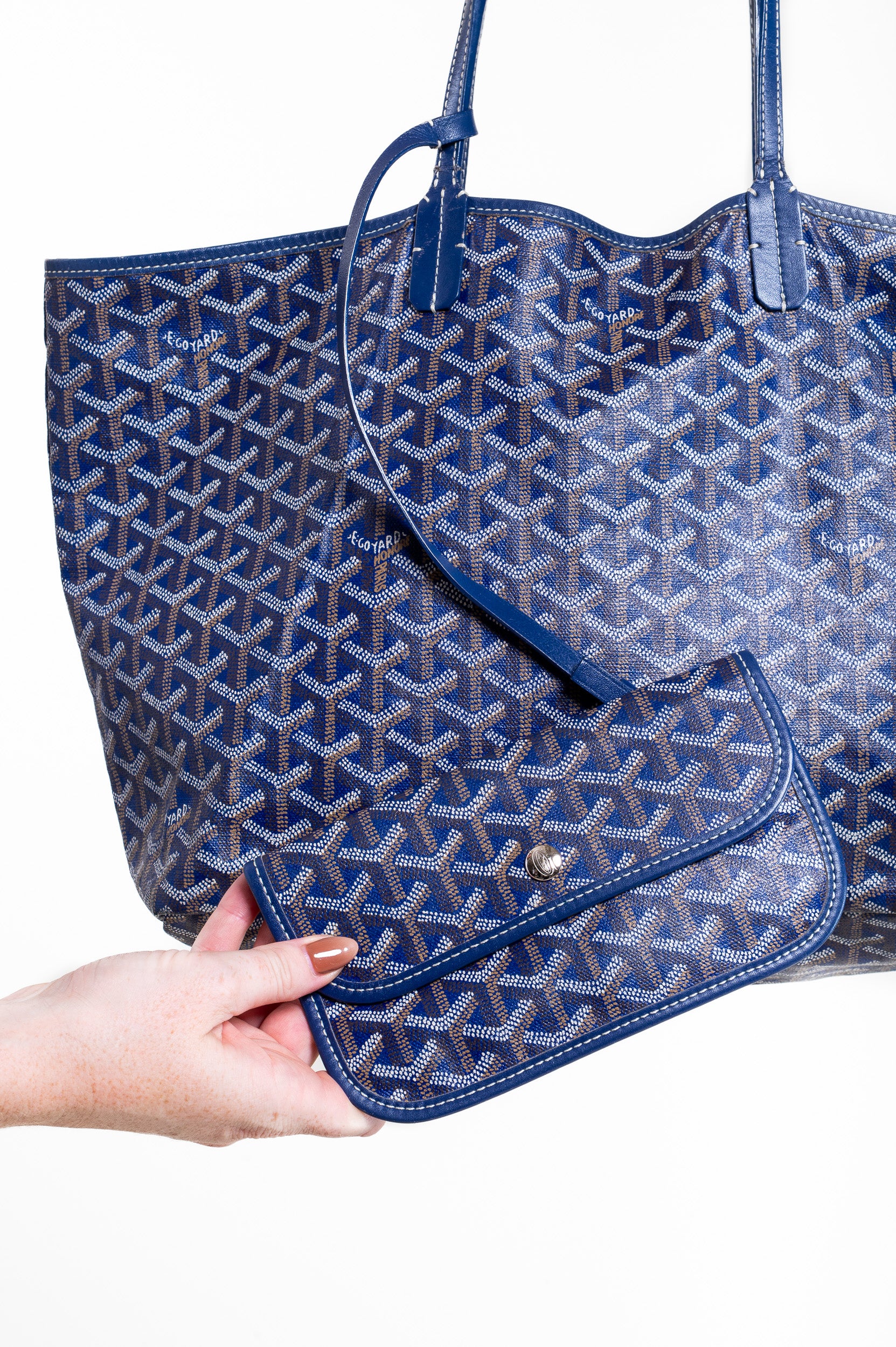 Saint Louis PM Tote Bag with Pouch
