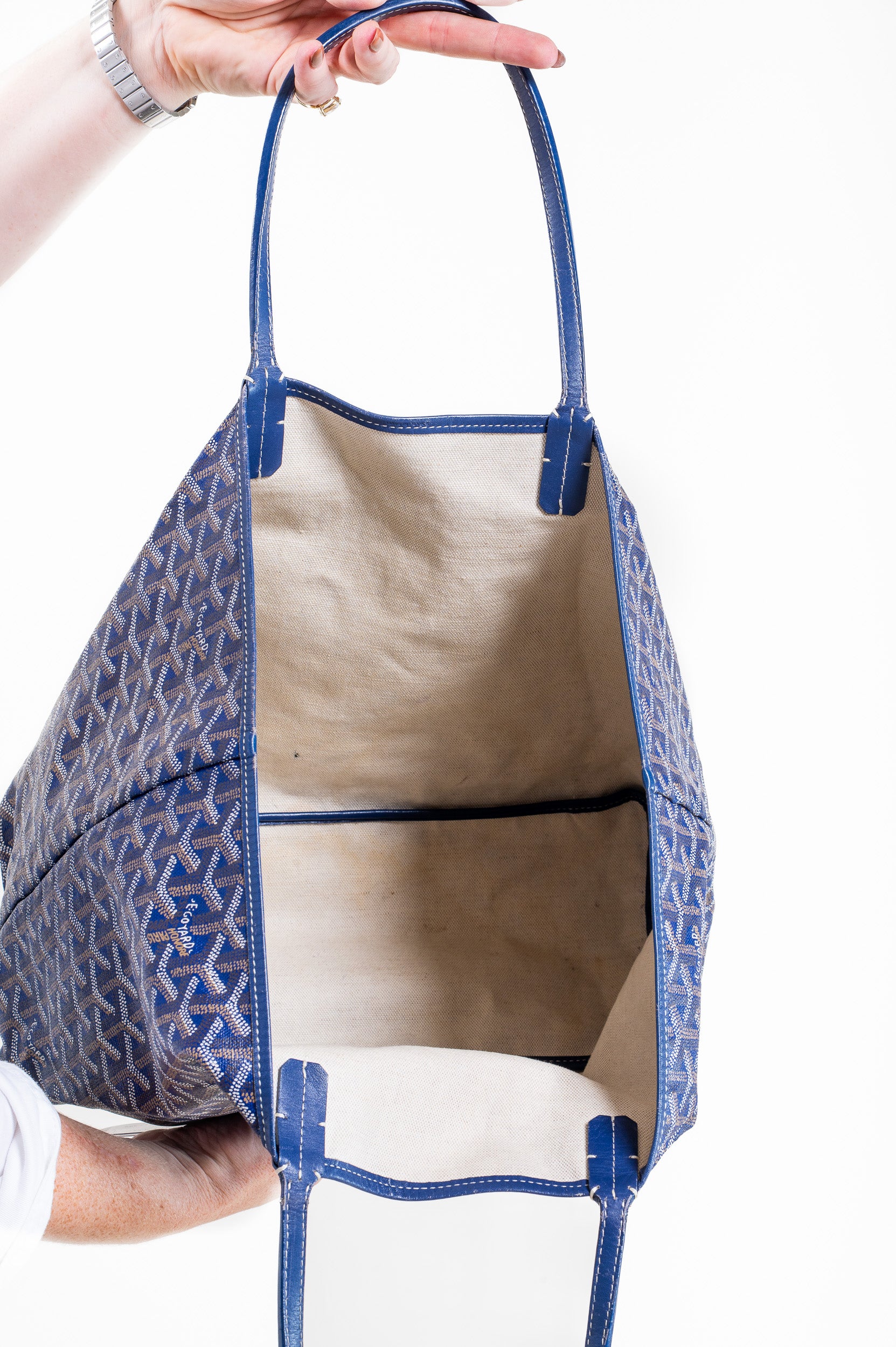 Saint Louis PM Tote Bag with Pouch
