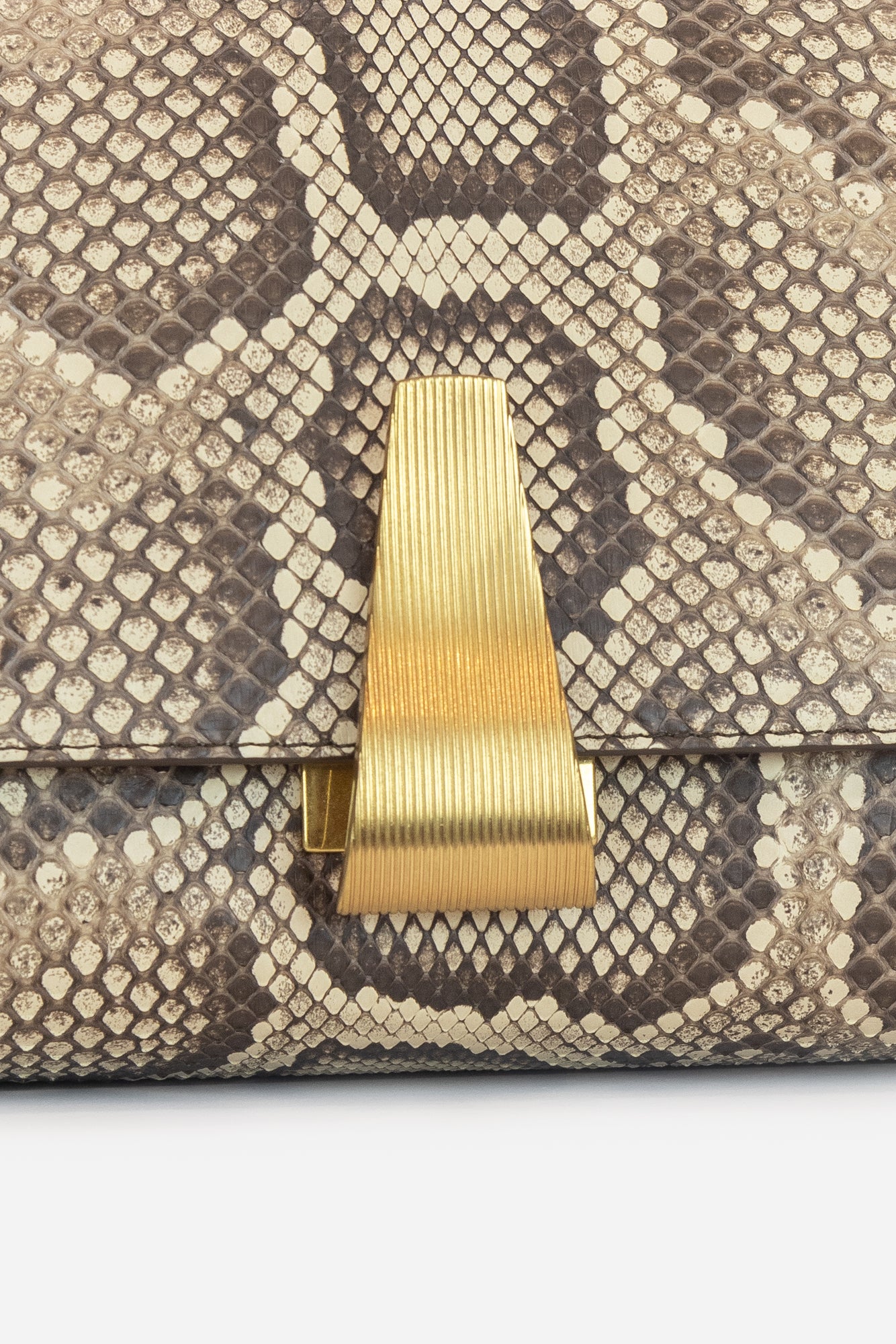 Snake Skin Crossbody W/ Gold Hardwear