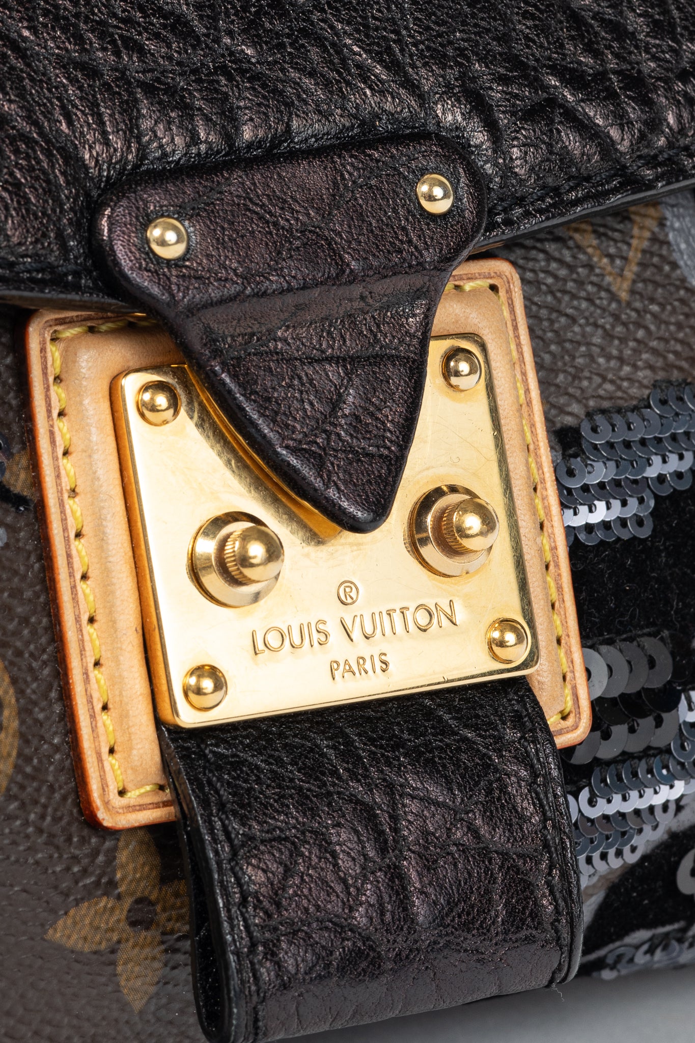 AW/10 Carrousel Monogram Fleur de Jais Sequined Velvet Handbag