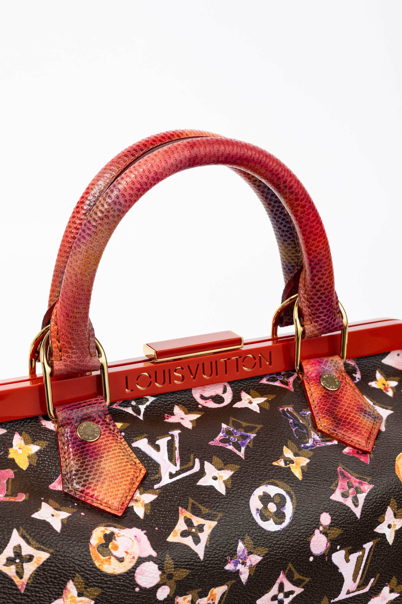 Louis Vuitton x Richard Prince SS/08 Runway Papillon Frame Watercolor Bag