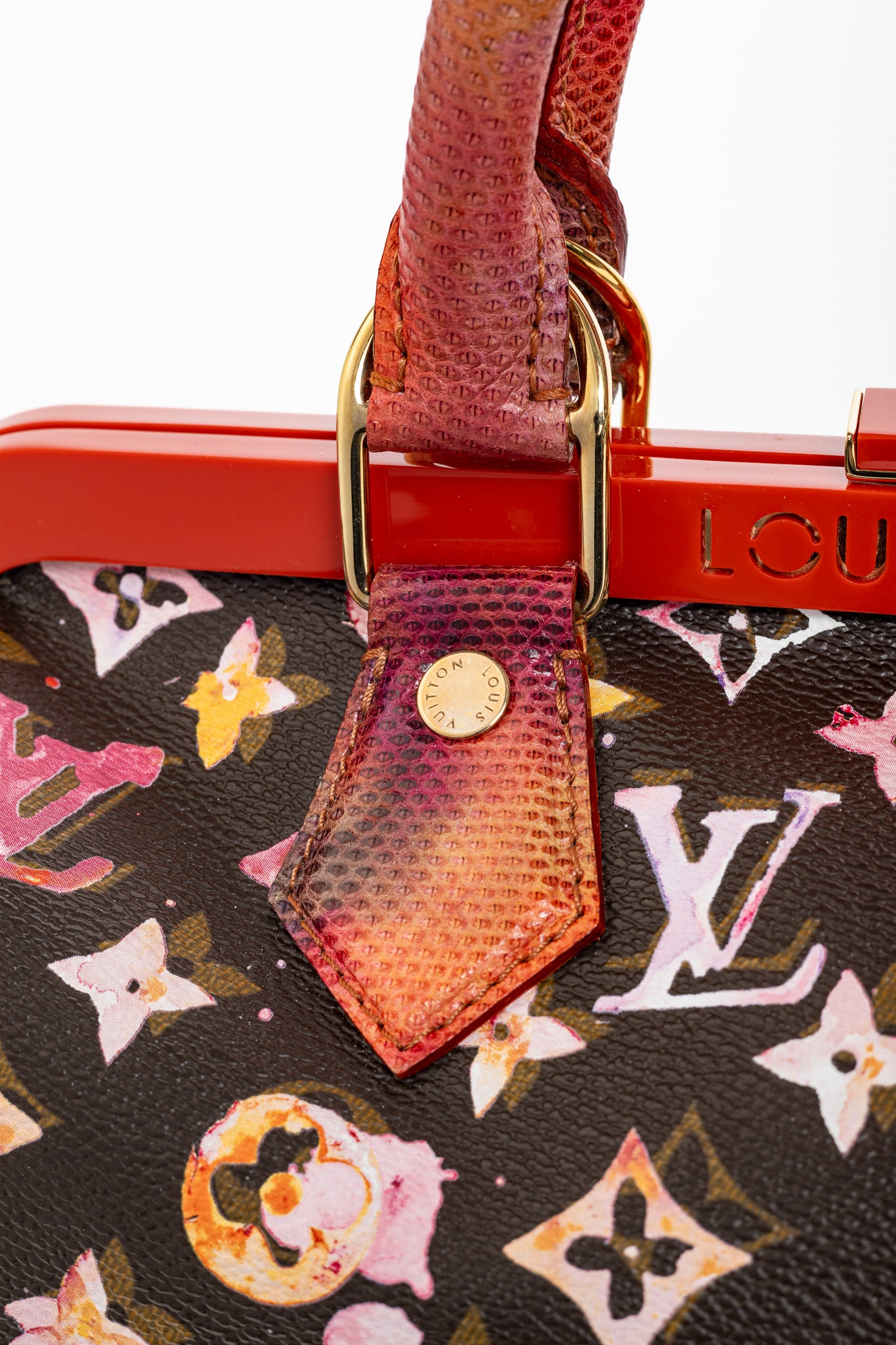 Louis Vuitton x Richard Prince SS/08 Runway Papillon Frame Watercolor Bag