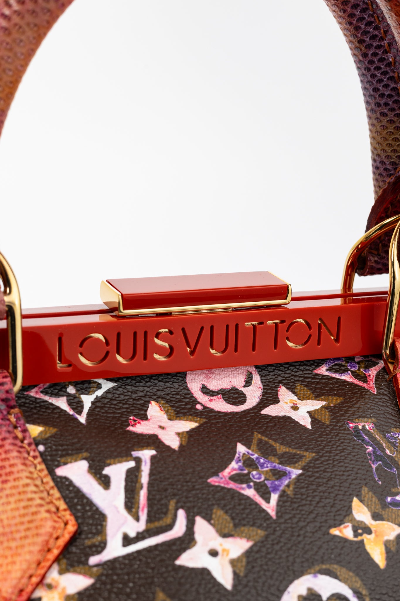 Louis Vuitton x Richard Prince SS/08 Runway Papillon Frame Watercolor Bag