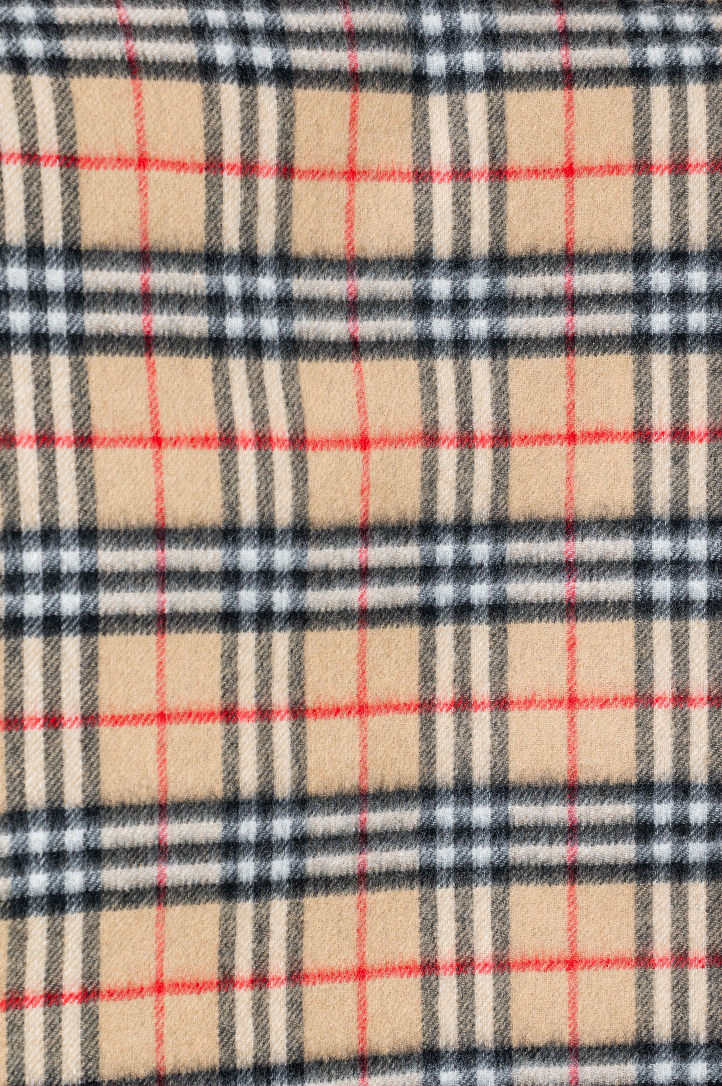 Black & Check Reversible Cashmere Scarf